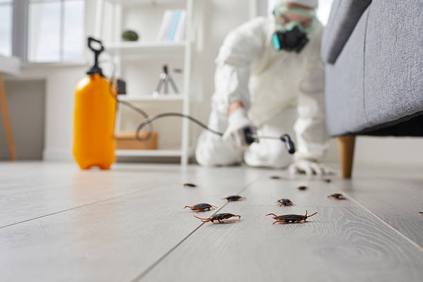 Post-Treatment Bed Bug Interceptor Monitoring in Germantown