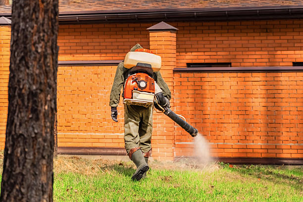 Bed Bug Clearance Verification and Documentation in Germantown